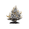 Burning Bush