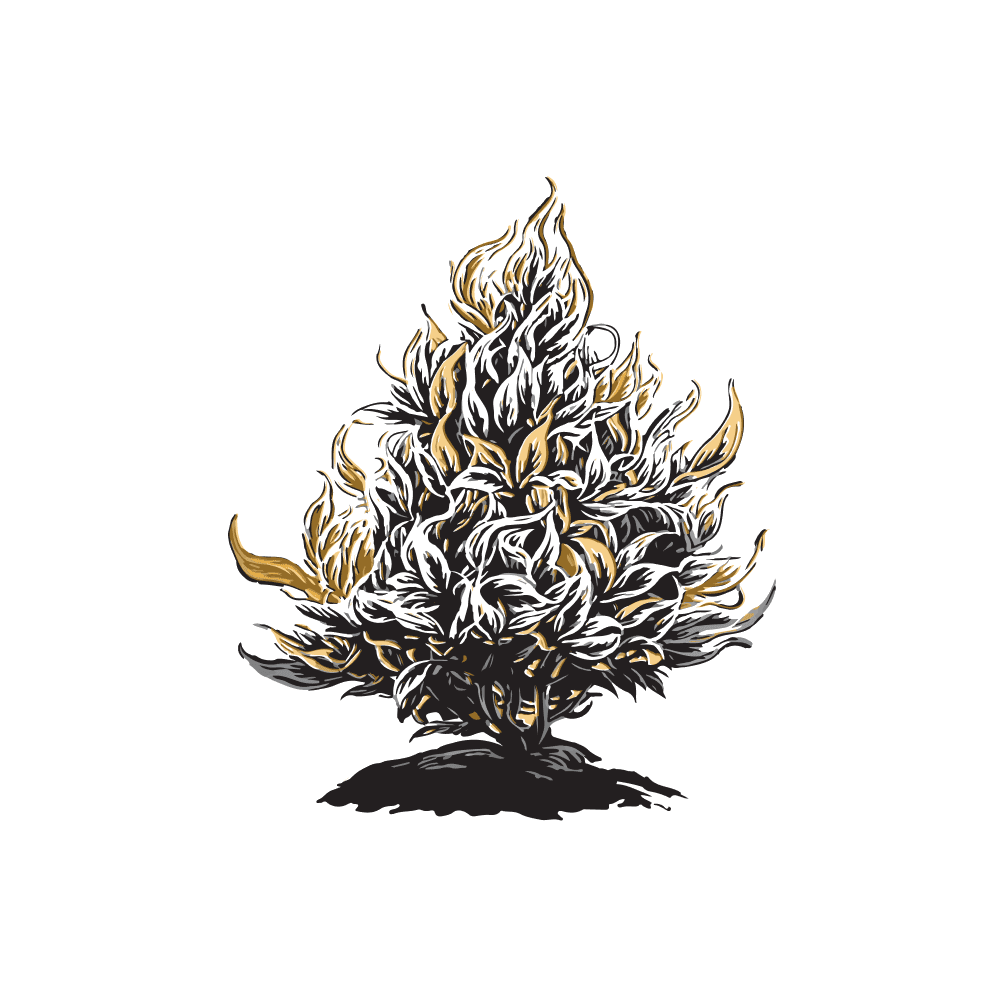 Burning Bush